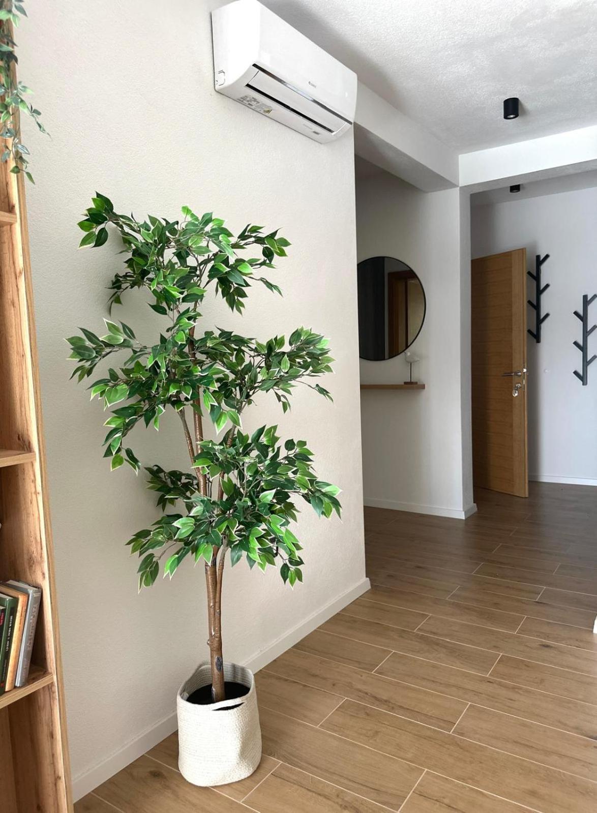 Apartmani Palada Poljica  Exteriér fotografie
